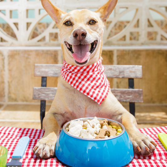 Wholesome Homemade Dog Treats: Recipes Your Pup Will Love