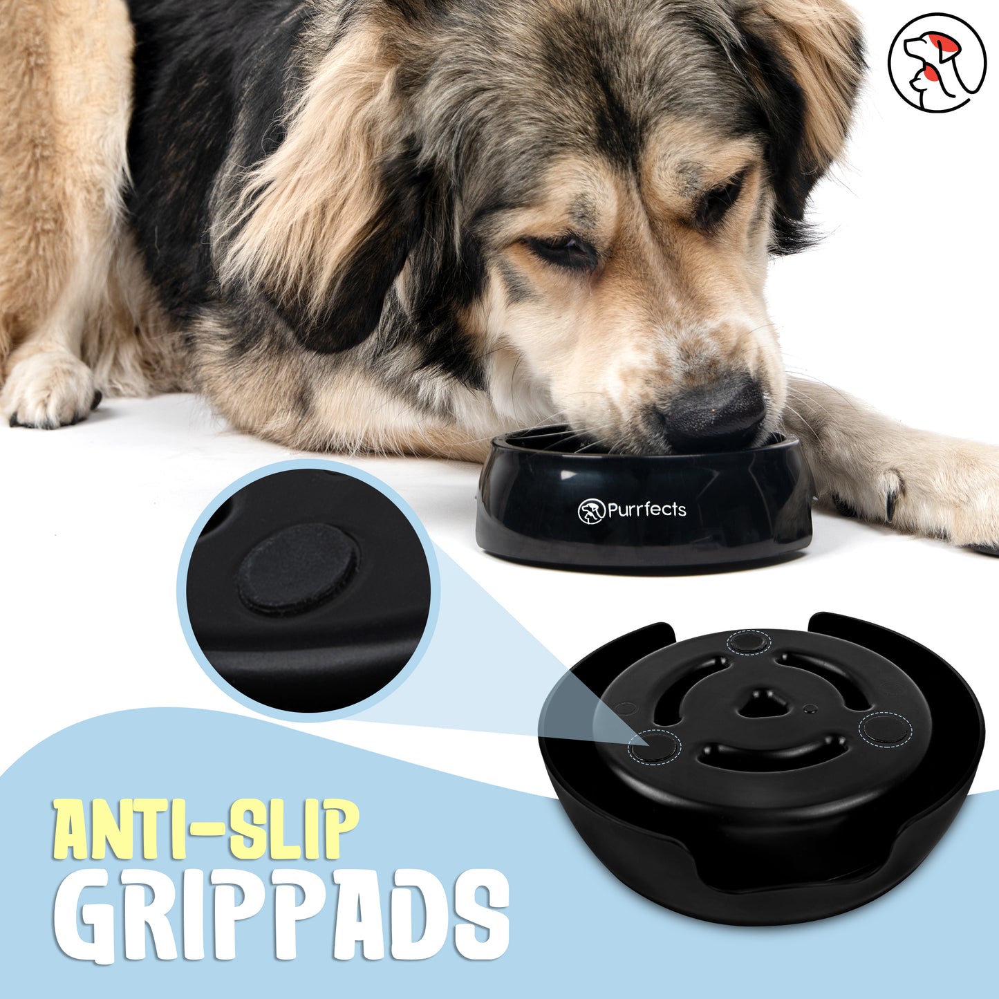 Small Black Slow Feeder Dog Bowl