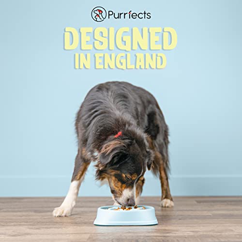 Purrfects Slow Feeder Dog Bowl (Sky Blue)