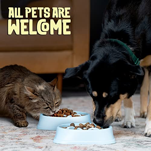 Purrfects Slow Feeder Dog Bowl (Sky Blue)