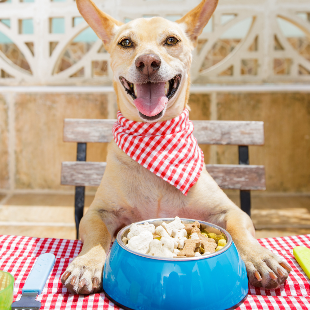 Wholesome Homemade Dog Treats: Recipes Your Pup Will Love