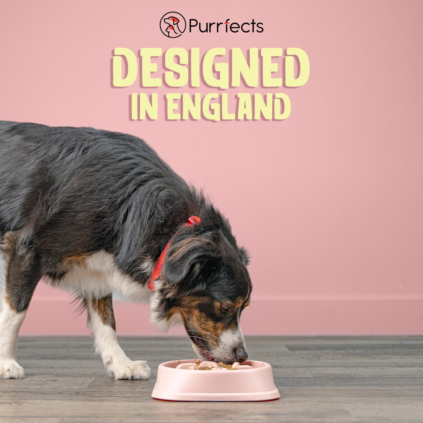 Purrfects Slow Feeder Dog Bowl (Blush Pink)