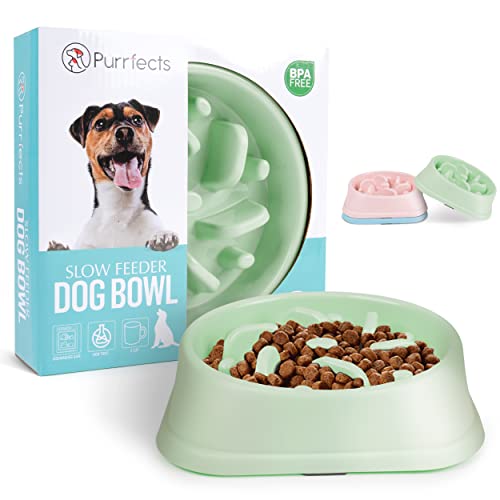 Purrfects Slow Feeder Dog Bowl (Mint Green)