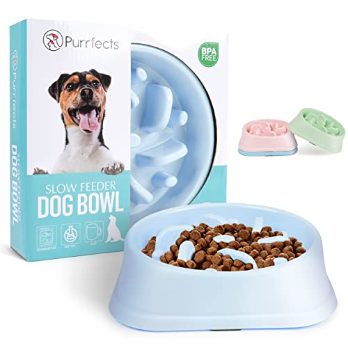 Purrfects Slow Feeder Dog Bowl (Sky Blue)