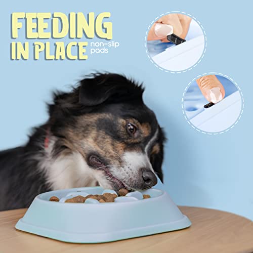 Purrfects Slow Feeder Dog Bowl (Sky Blue)