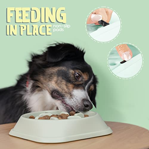 Purrfects Slow Feeder Dog Bowl (Mint Green)