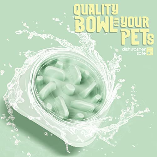 Purrfects Slow Feeder Dog Bowl (Mint Green)