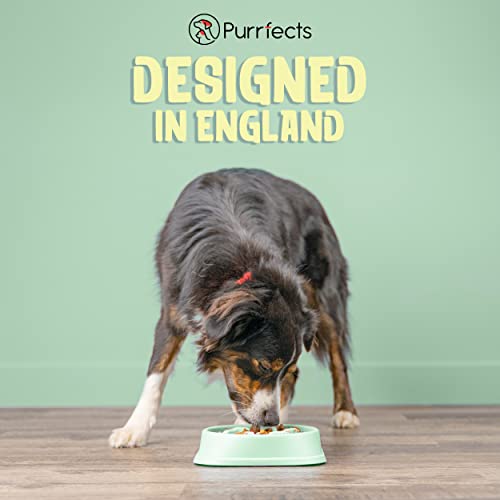 Purrfects Slow Feeder Dog Bowl (Mint Green)