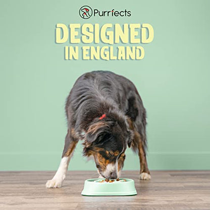 Purrfects Slow Feeder Dog Bowl (Mint Green)