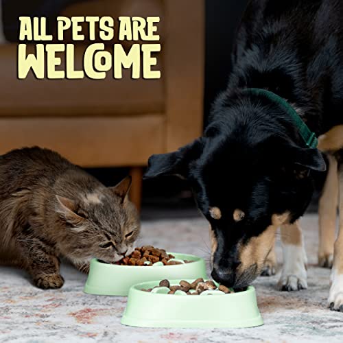 Purrfects Slow Feeder Dog Bowl (Mint Green)