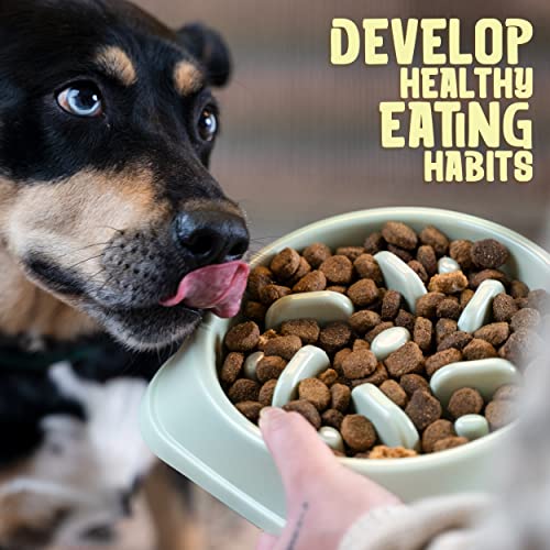 Slow Down Mealtimes: The Health Benefits of a Slow Feeder Dog Bowl